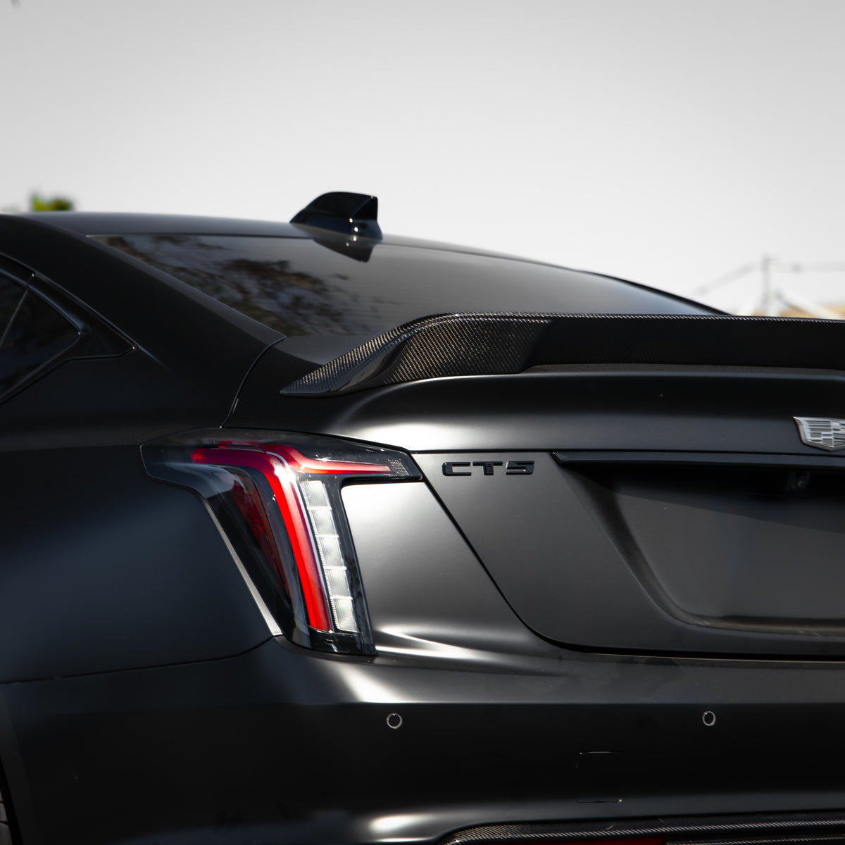 2022-2026 Cadillac CT5-V Blackwing Gloss Carbon Fiber Rear Spoiler