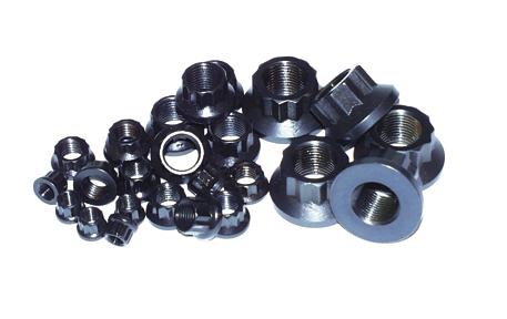 ARP 5/16-24 12pt Nut Kit