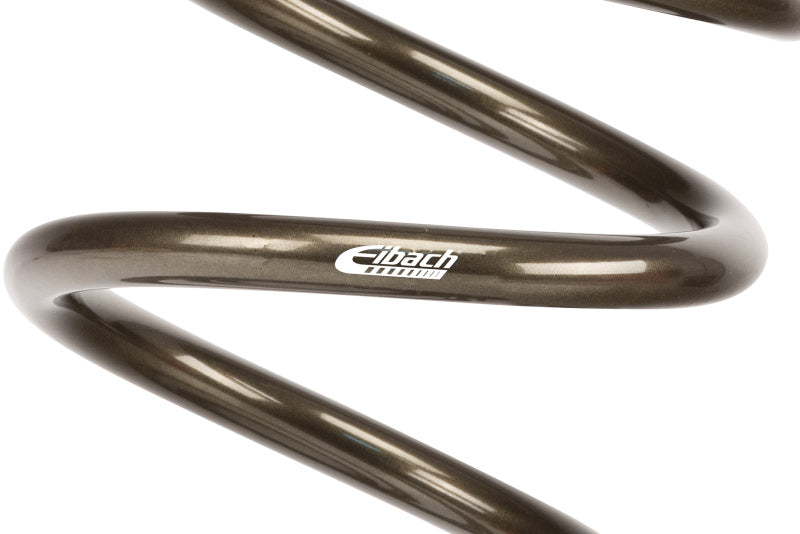 Eibach ERS 18in L x 5.00in OD Platinum Rear Spring - 112 lbs/in