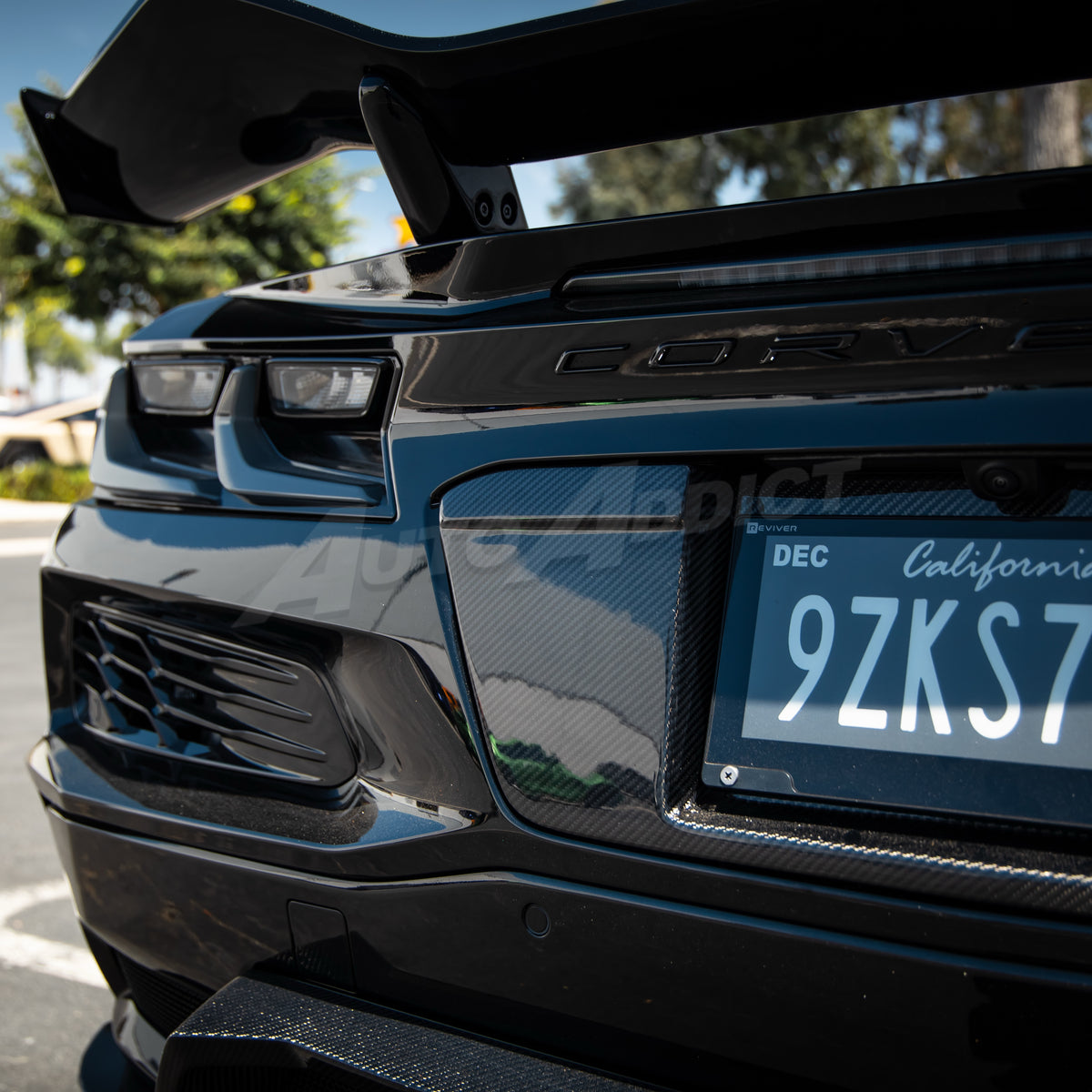 2022-2026 Corvette C8 Carbon Fiber License Plate Backing for ZR1/Z06/E-Ray/Grand Sport Rear Bumper