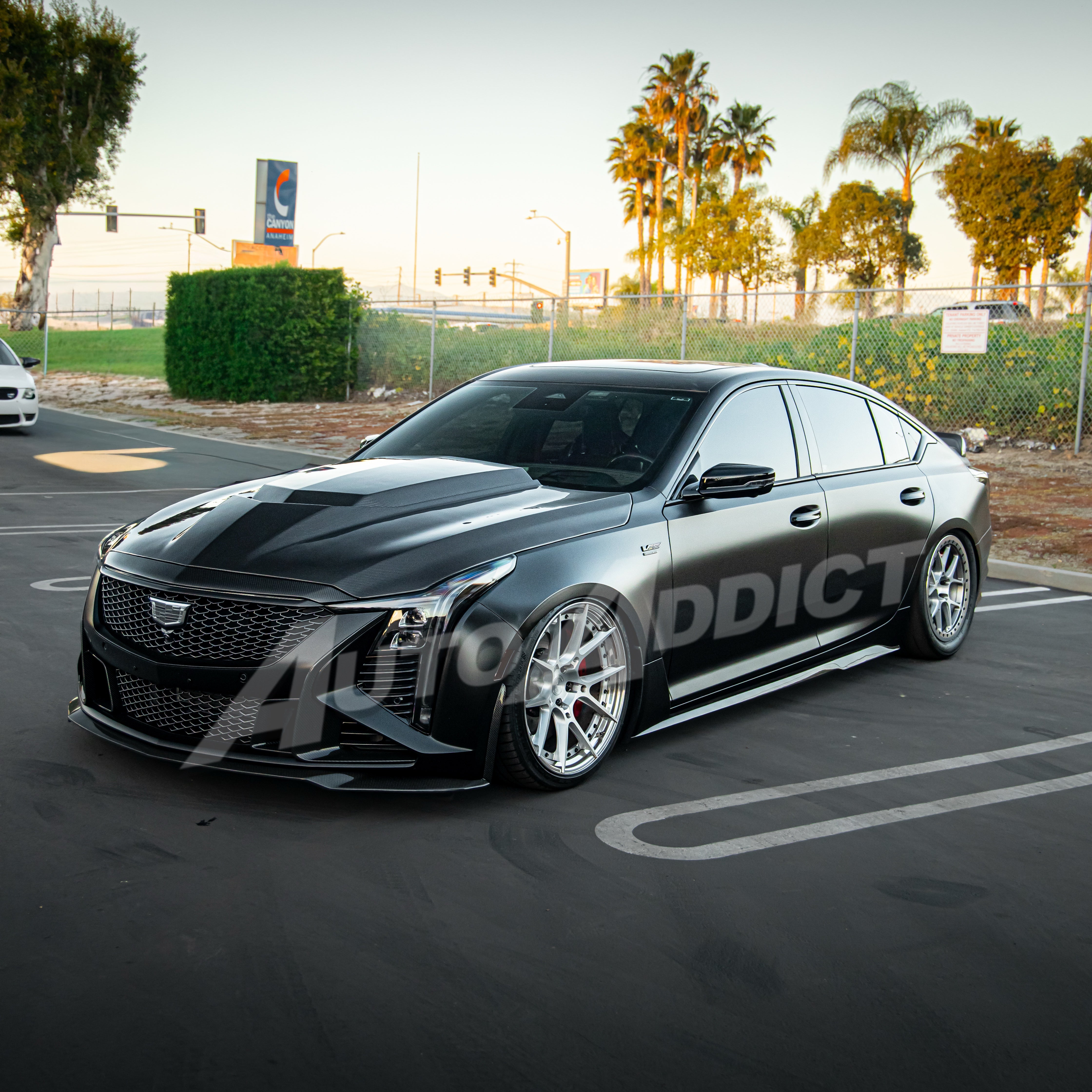 Auto_Addict_USA_Heritage_Spec_V_shaped_CF_hood_CNC_Dry_Carbon_light_weight_CT5_V-blackwing_label