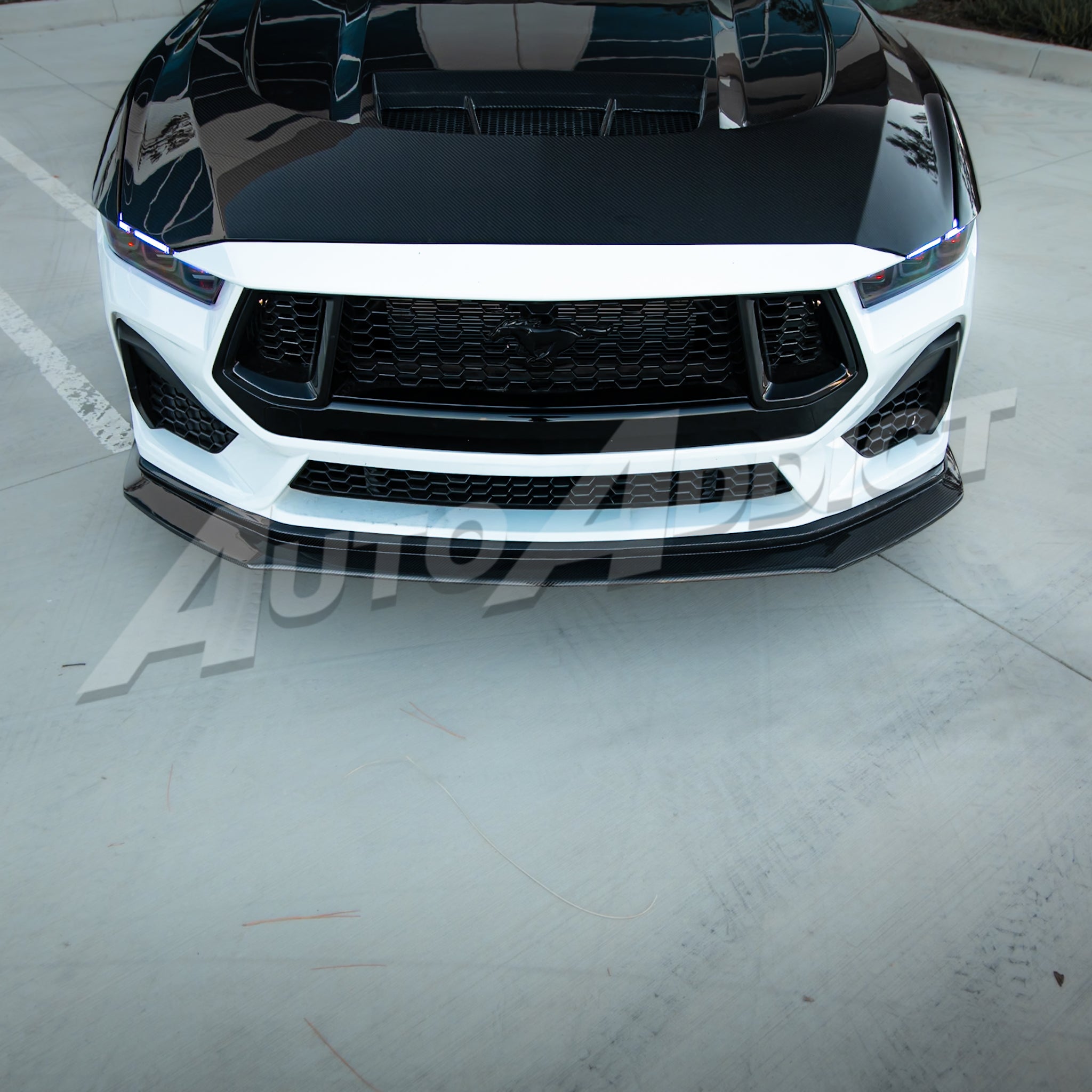 2024-2026 Mustang EcoBoost/GT S650 Type-OE Carbon Fiber Double Sided Lower Chin Splitter