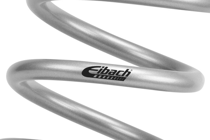 Eibach Pro-UTV 24-25 Polaris Xpedition XP 5 Northstar Stage 4 Extra Load Springs