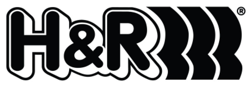 H&R Rear Spring for Kit 29147 - Single