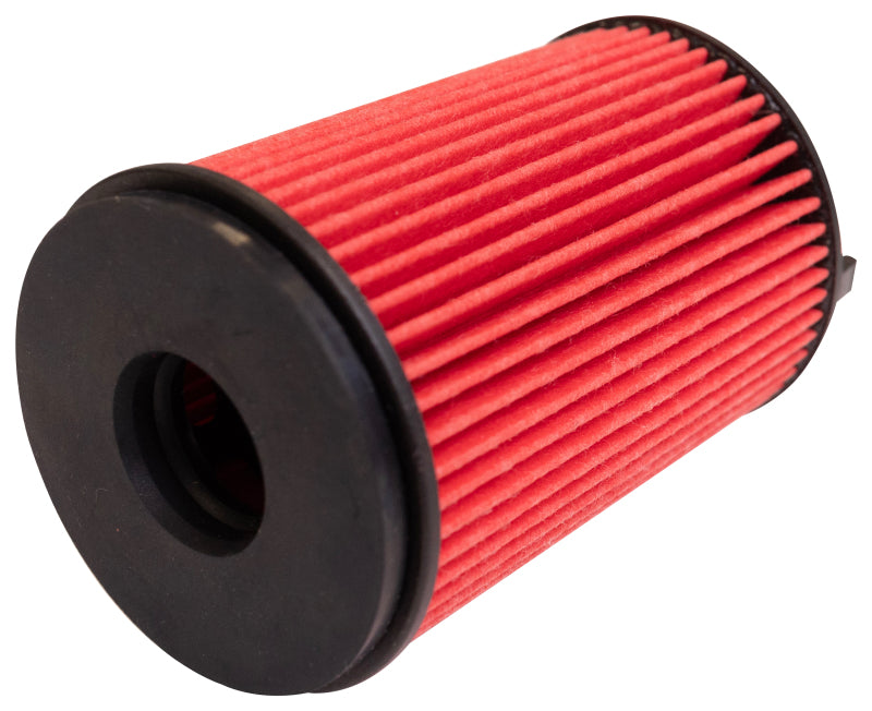 K&N Oil Filter Automotive 21-26 Mazda BT50