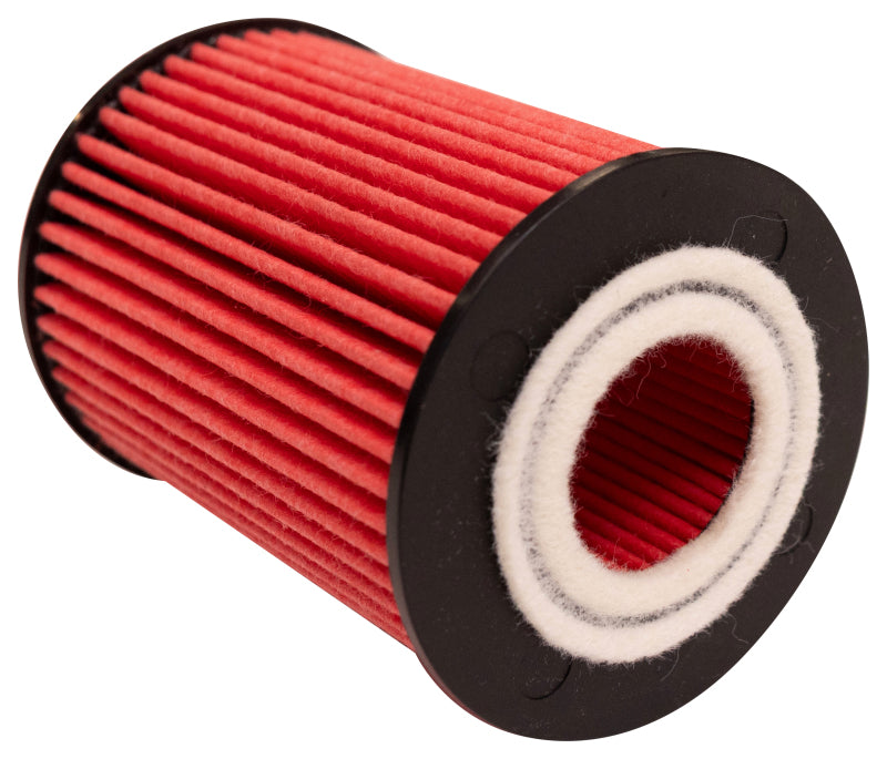 K&N Oil Filter Automotive 20-26 Great Wall Cannon