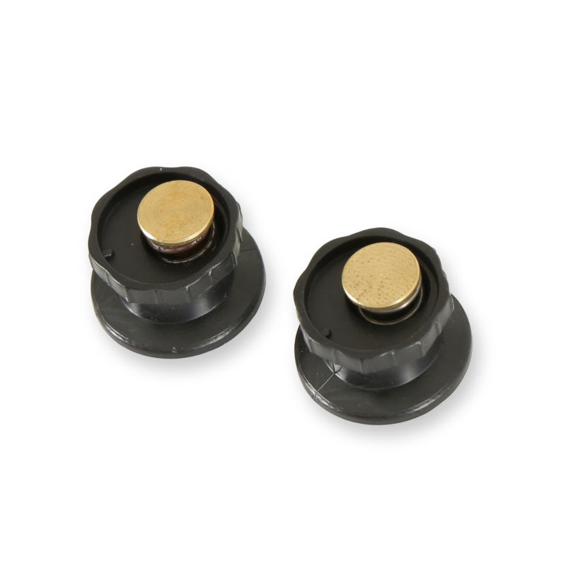 RaceQuip Pro Shield Tearoff Posts 2 Pak