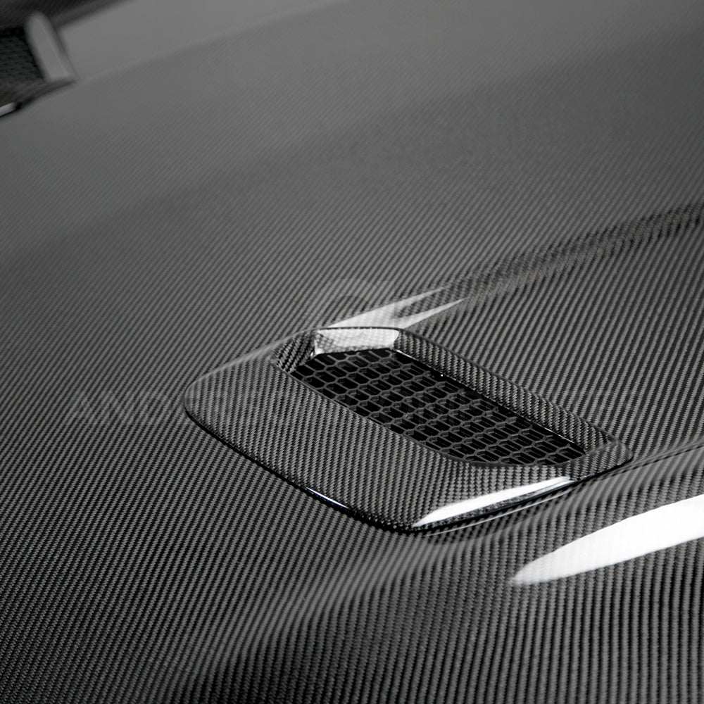 2018 - 2021 Ford Mustang Type-OE Double Sided Carbon Fiber Hood